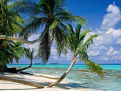 Tepuka Island, Tuvalu